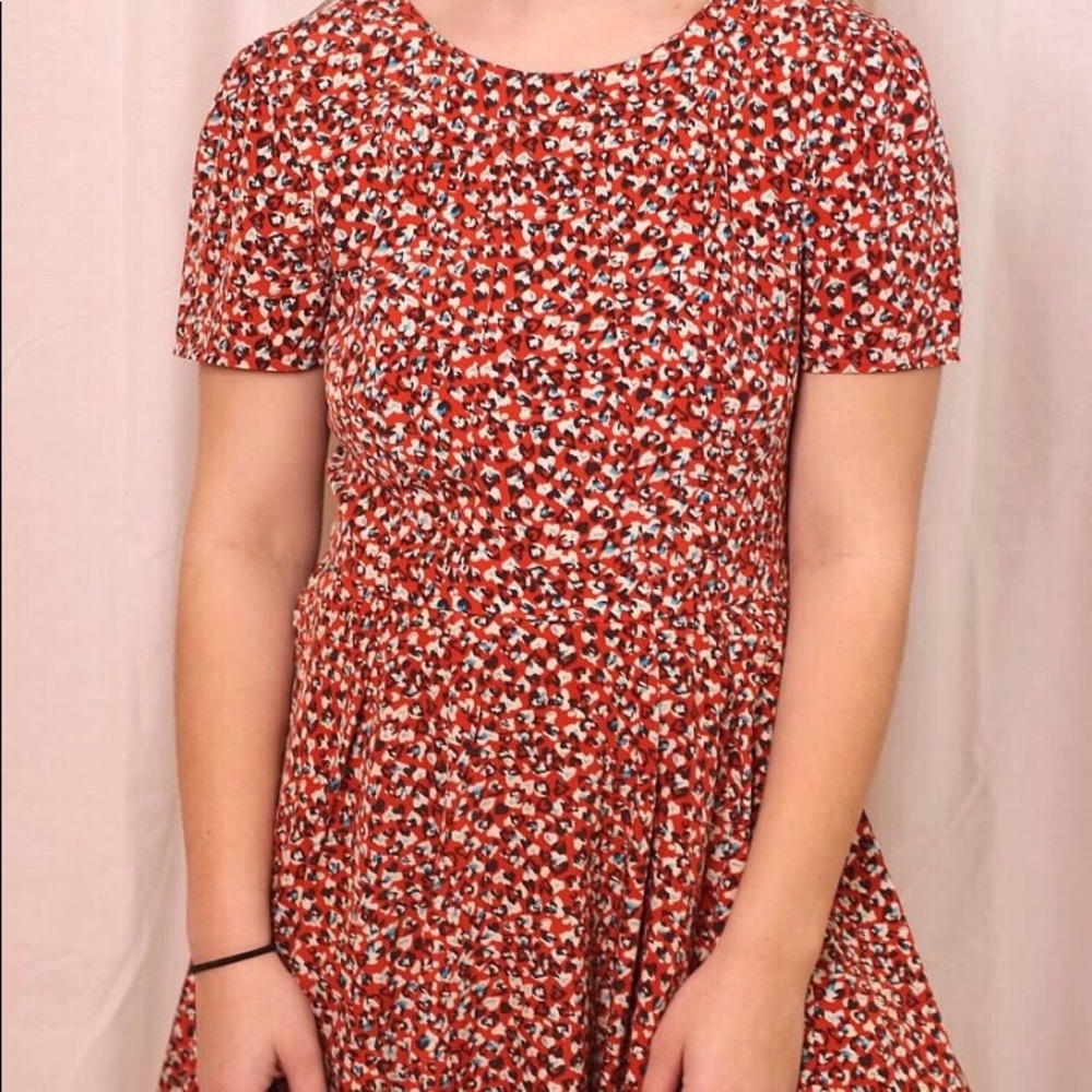 Skater Dress